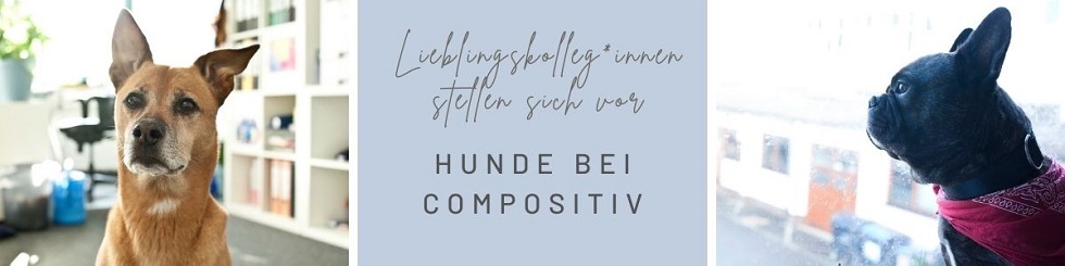 Bürhunde bei compositiv