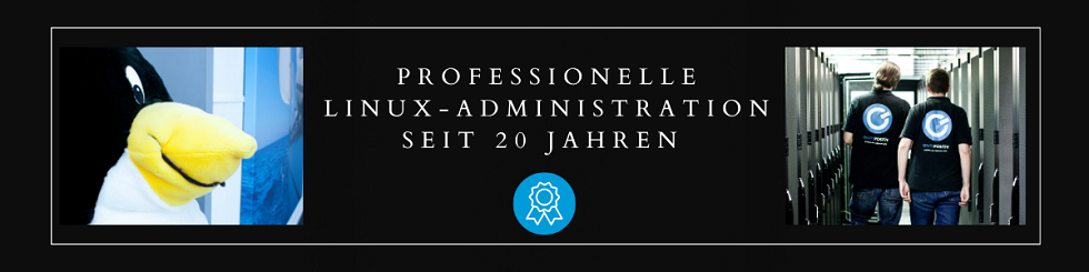 Professionelle Linux-Administration
